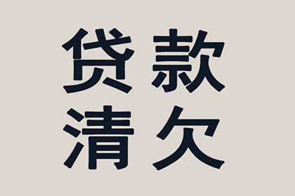 法院判决赌债还款，应对策略详解